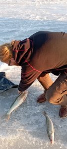 Самая теплая рыбалка со льда